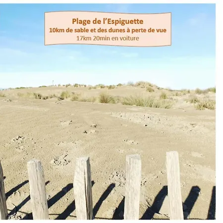 Daire L'escapade Du Soleil Parking Clim Wifi Centre-ville - Rossiconciergerie - Linge Inclus La Grande Motte