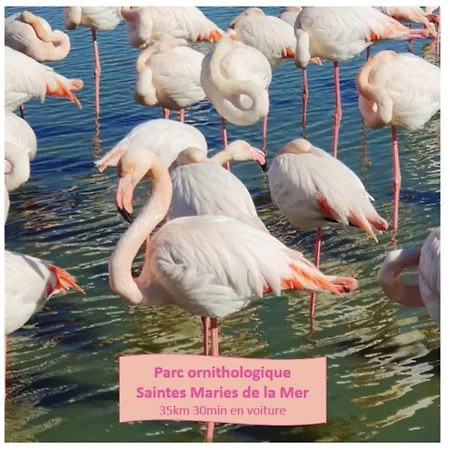 L'escapade Du Soleil Parking Clim Wifi Centre-ville - Rossiconciergerie - Linge Inclus Appartement