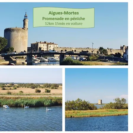 L'escapade Du Soleil Parking Clim Wifi Centre-ville - Rossiconciergerie - Linge Inclus Appartement *