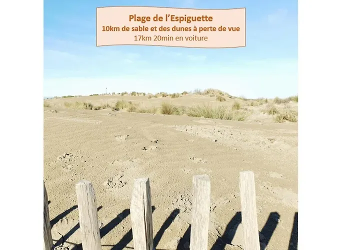 Διαμέρισμα L'escapade Du Soleil Parking Clim Wifi Centre-ville - Rossiconciergerie - Linge Inclus Λα Γκραντ-Μοτ